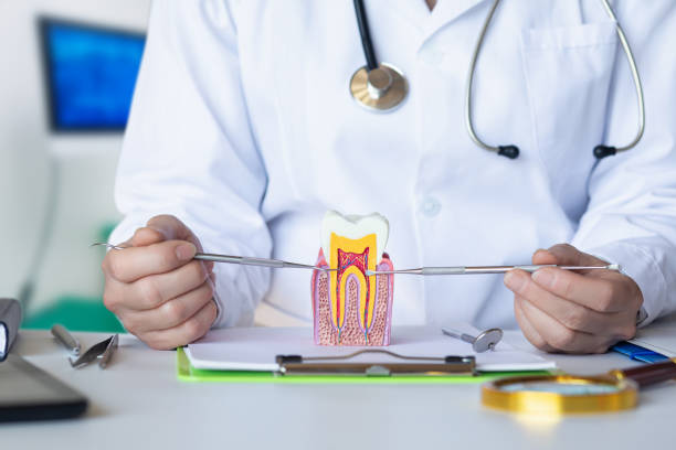 Best Dentist for Severe Toothache  in Chelan, WA